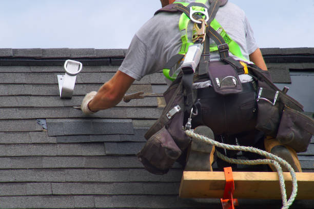 Roof Gutter Cleaning in Tunnel Hill, GA