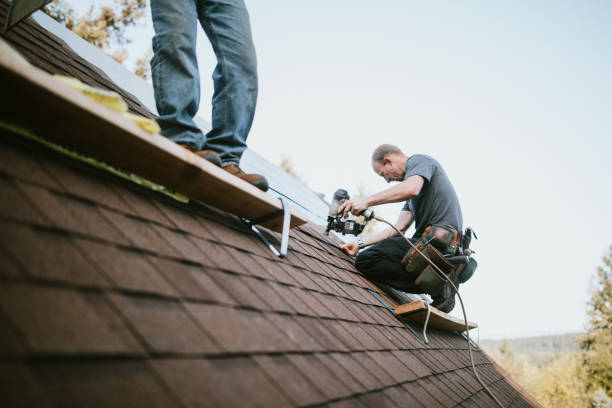 Best Roof Gutter Cleaning  in Tunnel Hill, GA